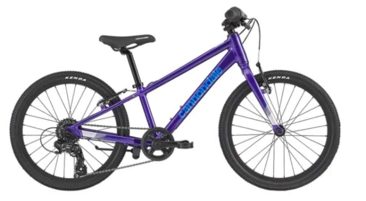 Cannondale Quick 20